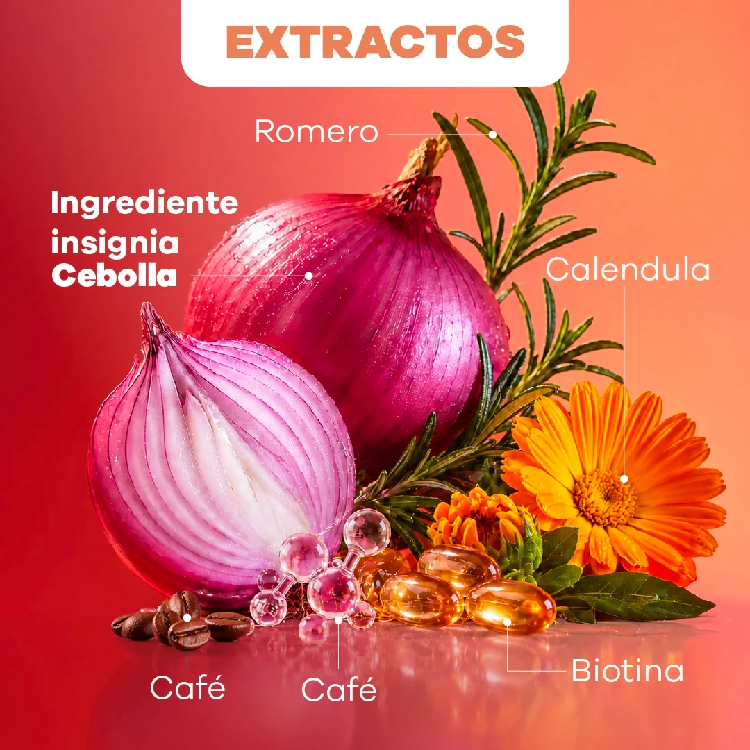 Tónico Caspax para Caspa y Control de Grasa Cebolla y Romero X 250 Ml Natural Sant - Imagen 3
